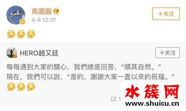 高圓圓懷孕幾個月了