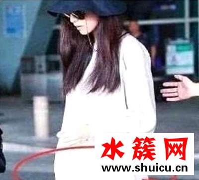 高圓圓懷孕幾個月了