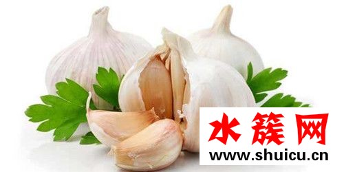 春季養(yǎng)生必吃十種食物