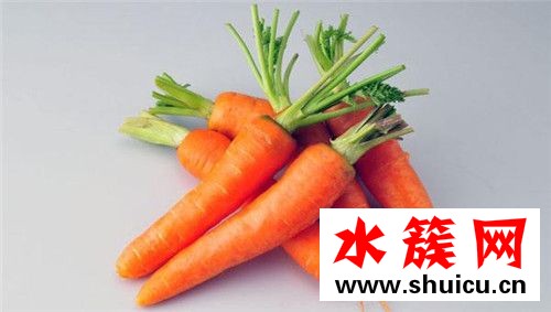 春季養(yǎng)生必吃十種食物