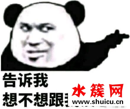 嘴炮式戀愛是什么意思