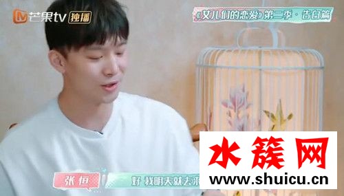 張恒鄭爽結(jié)婚計(jì)劃這是什么梗 張恒鄭爽結(jié)婚計(jì)劃背后原因 張恒鄭爽結(jié)婚計(jì)劃