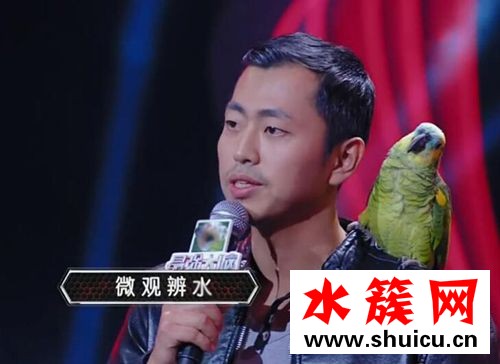 王昱珩的眼睛好了嗎