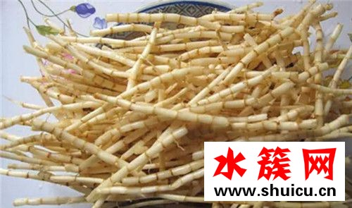 白茅根有什么副作用