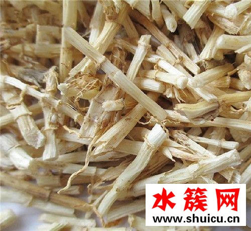 白茅根有什么副作用