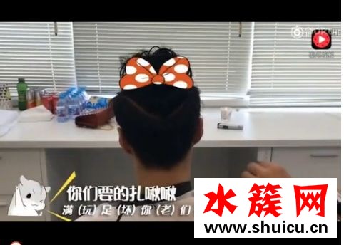 張藝興薅羊毛是什么意思