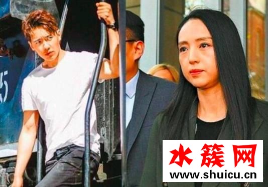 高云翔董璇被起訴是怎么回事