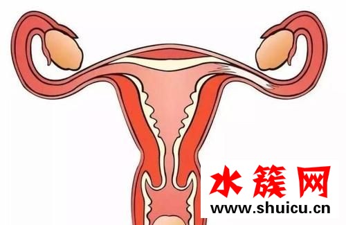 卵巢囊腫會自己消失嗎