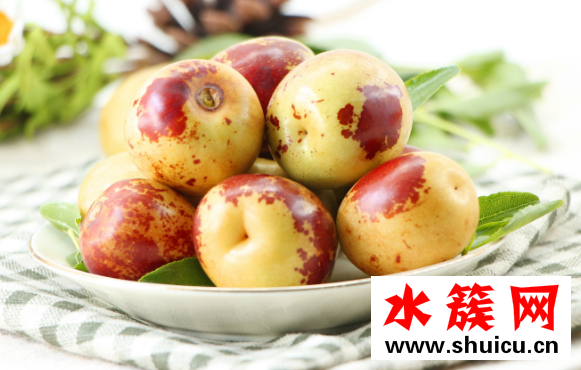 冬棗什么時候成熟