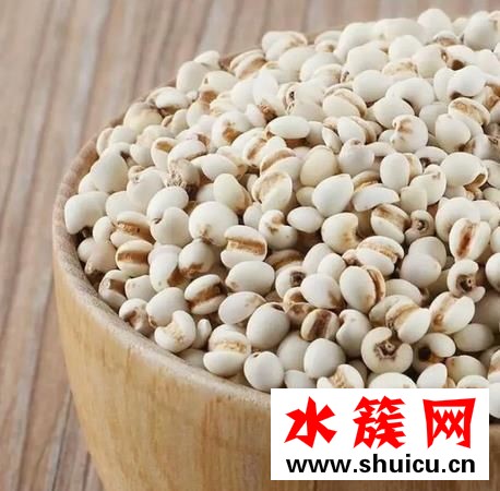 薏米炒熟好還是不炒好 薏米炒熟后還能祛濕嗎 薏米炒熟好還是不炒好