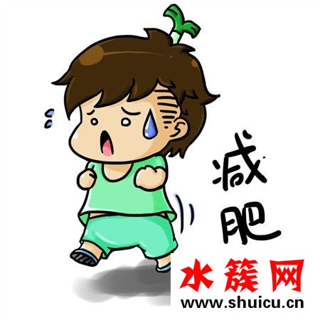 你適合哪種減肥法