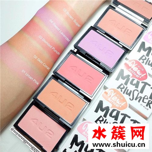 4u2腮紅價格是多少