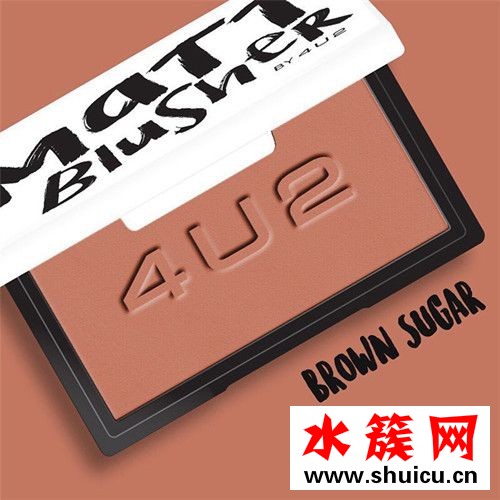4u2腮紅價格是多少