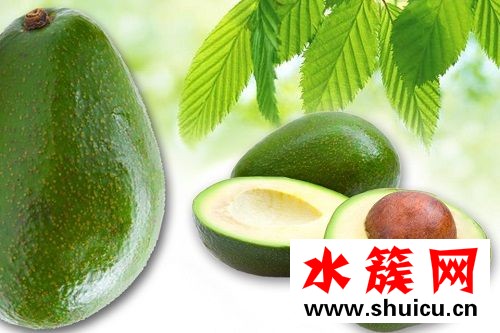 寶寶便秘能吃牛油果嗎 寶寶吃牛油果會便秘嗎 寶寶便秘能吃牛油果嗎