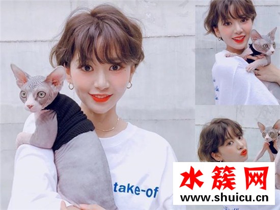 頭發少齊肩短發燙什么卷