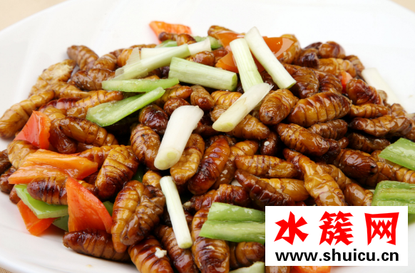 蠶蛹怎么做好吃