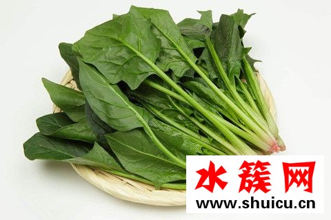 每天吃什么蔬菜美容 每天吃什么蔬菜美容