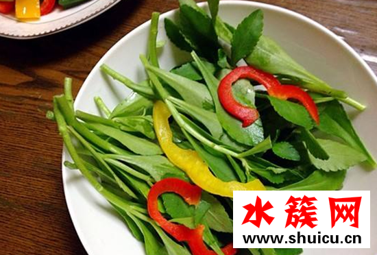 救心菜可以泡茶喝嗎