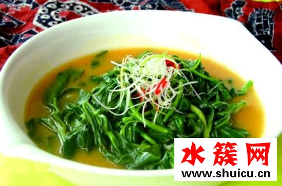 救心菜可以泡茶喝嗎