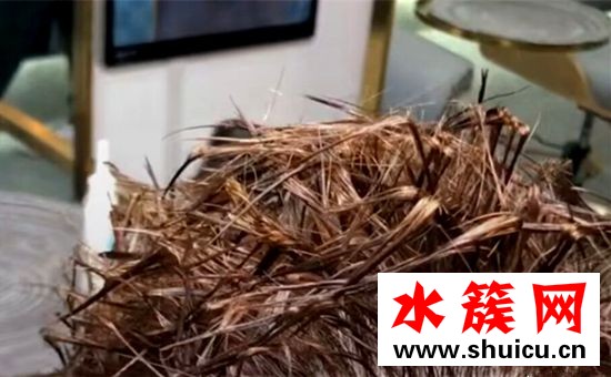 抖音螞蚱燙是什么梗 抖音螞蚱燙發(fā)型是什么樣子圖片 抖音螞蚱燙是什么梗