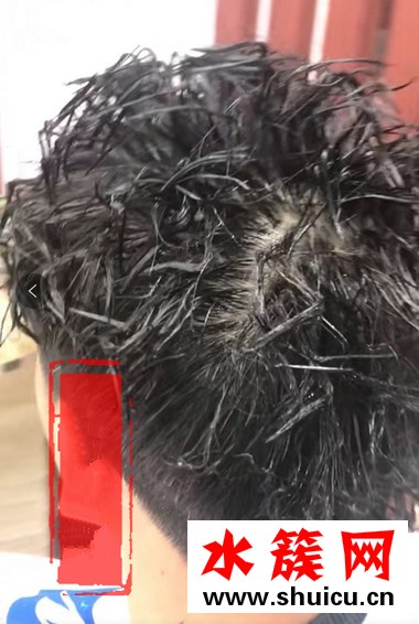 抖音螞蚱燙是什么梗 抖音螞蚱燙發(fā)型是什么樣子圖片 抖音螞蚱燙是什么梗