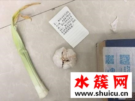 1蔥1蒜是什么梗