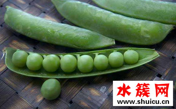 豌豆的熱量 豌豆的功效與作用 豌豆的熱量