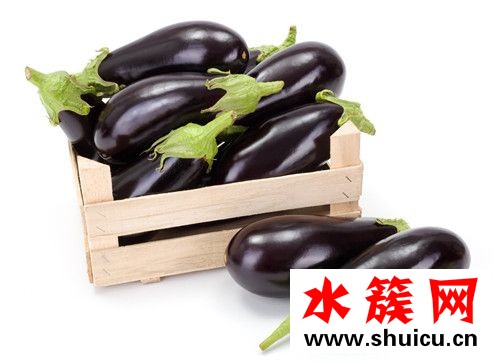 生吃茄子真的可以減肥嗎