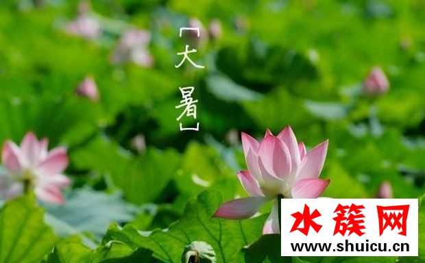 2019大暑幾天 2019大暑養生吃什么好 2019大暑幾天