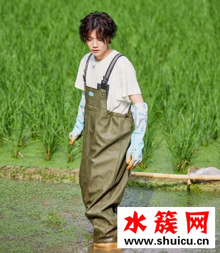 向往的生活鹿晗徒手抓魚是第幾期 向往的生活鹿晗徒手抓魚是第幾期