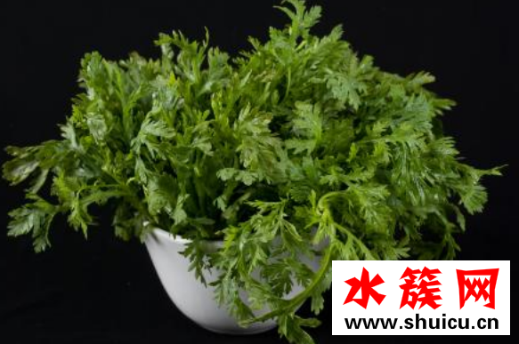 茼蒿有苦味怎么回事