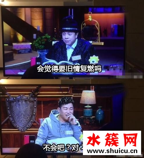 鄭爽的書寫的是張翰還是胡彥斌