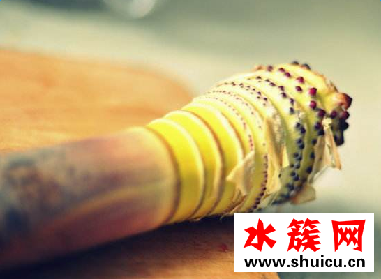 春筍什么人不能吃? 孕婦可以吃春筍嗎 懷孕初期能吃春筍嗎 春筍什么人不能吃