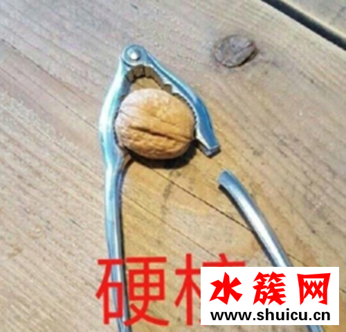 最火網絡用語2019 2019年最火的網絡流行語盤點 最火網絡用語2019