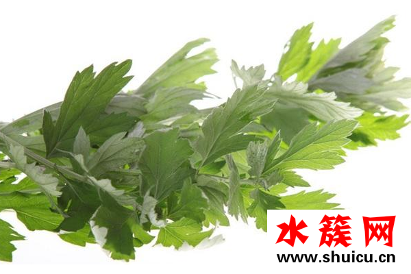 干艾草泡腳有什么作用？