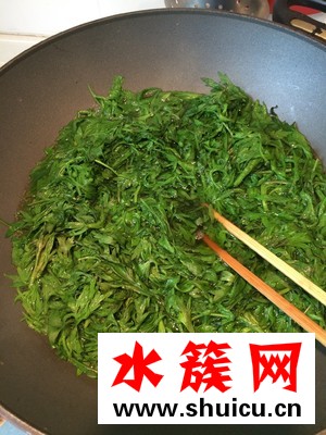 艾草幾月份哪個季節有 艾草什么時候采摘最好 艾草什么時候采摘最好?