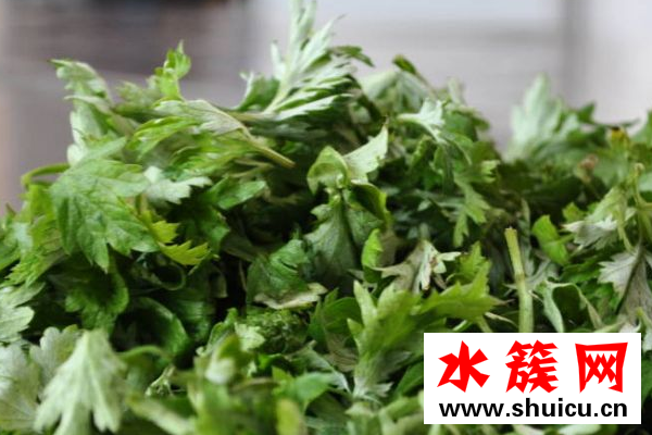 艾草幾月份哪個季節有 艾草什么時候采摘最好 艾草什么時候采摘最好?