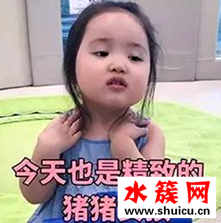 網絡詞豬精女孩是什么意思